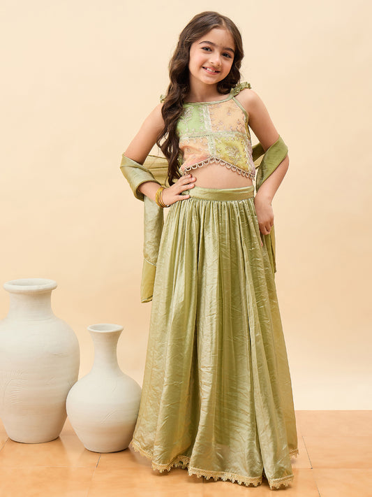 Girls Waist Length Embroidery Lehenga Choli - Green